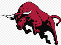 Bull bulletpoint